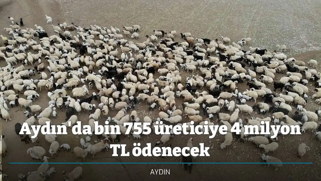 Aydın'da bin 755 üreticiye 4 milyon TL ödenecek