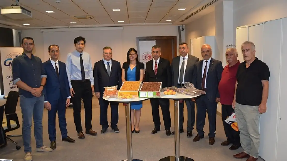 Malatya kayısısı Uzakdoğu pazarına açılıyor!