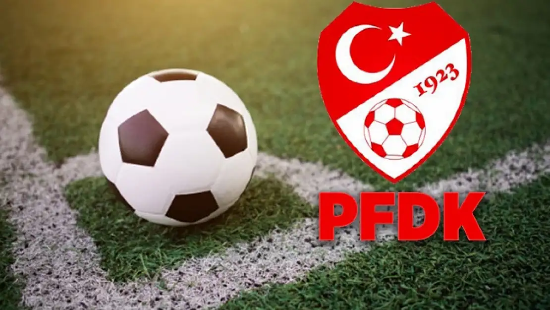 Yeni Malatyaspor'da Damir Yüksel PFDK'ya sevk edildi