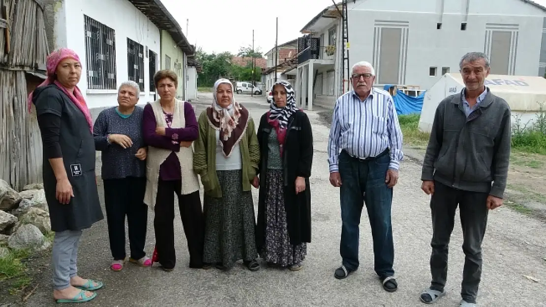 Sokak köpekleri mahalleliyi canından bezdirdi