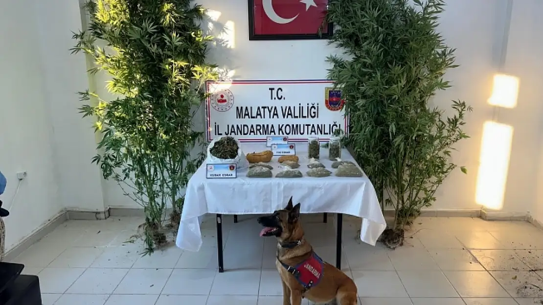 Malatya'da uyuşturucu operasyonu