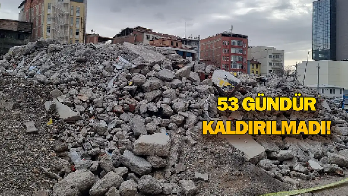 53 gündür bitmeyen yıkım! Bölge toz, toprağa teslim!