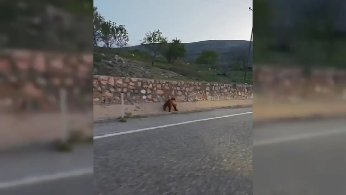 Görenleri şaşkına çevirdi!