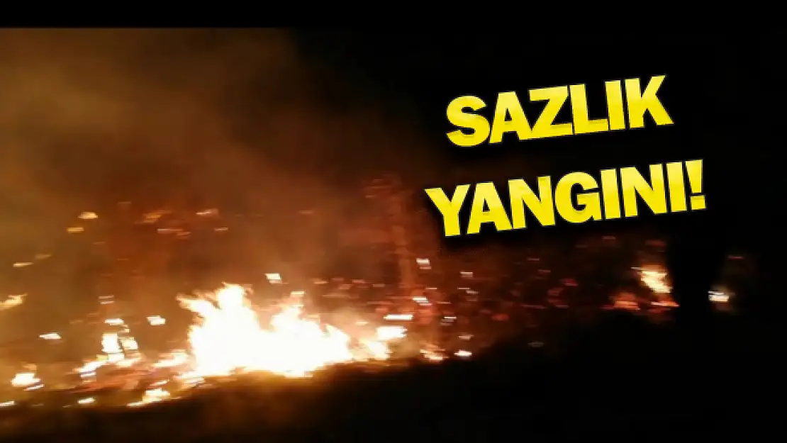 Korkutan yangın!