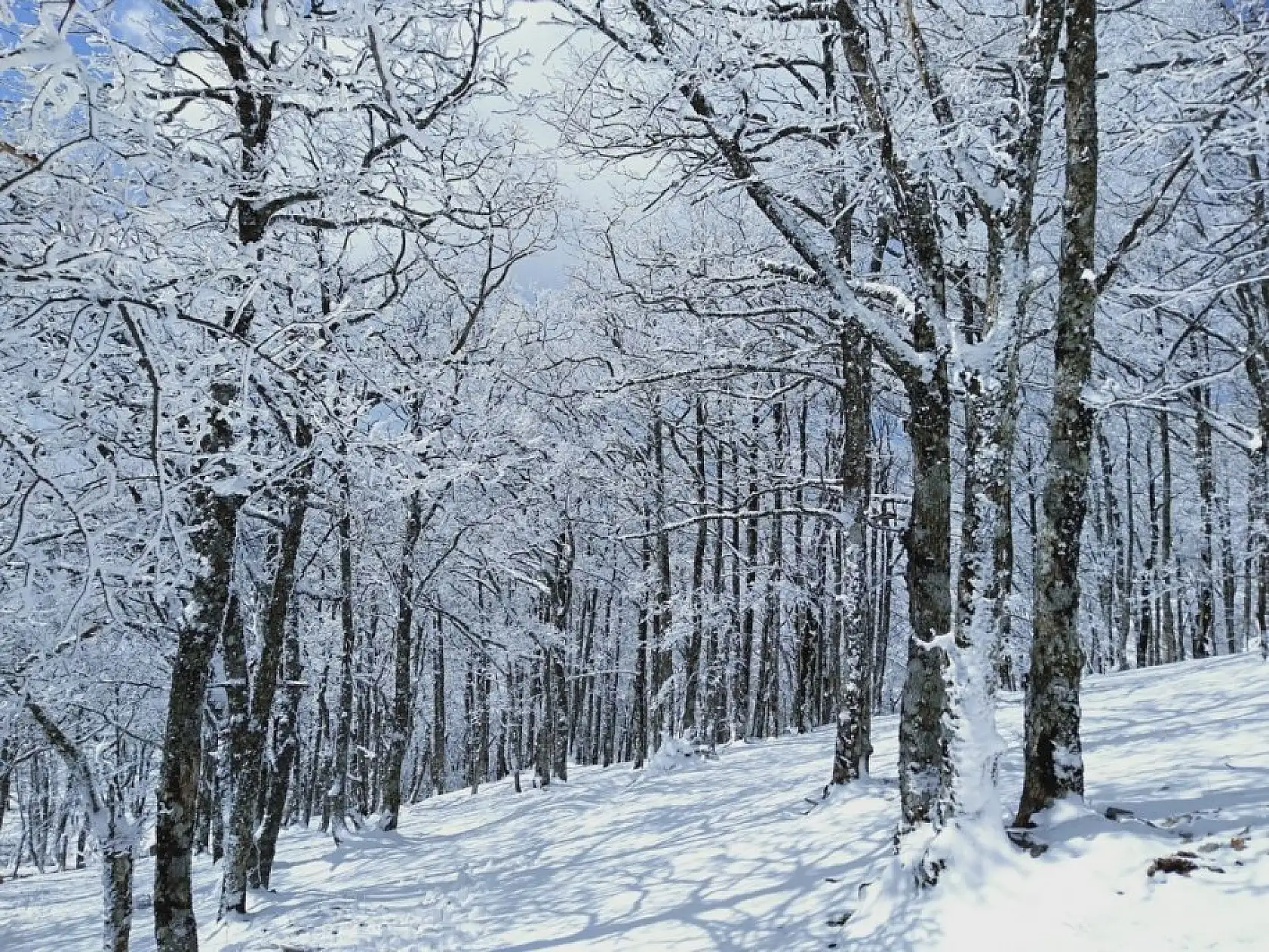 Karlı Kazdağları'ndan masalsı görüntüler