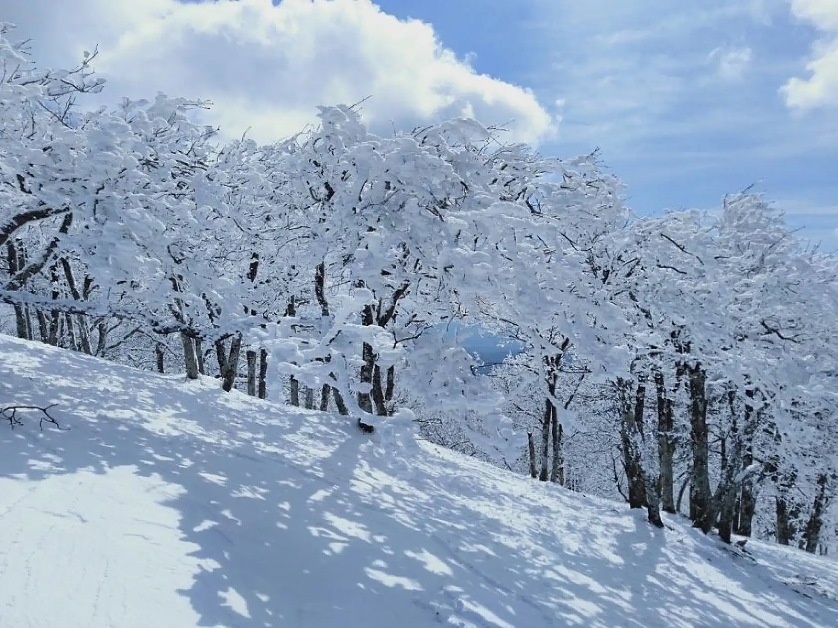 Karlı Kazdağları'ndan masalsı görüntüler