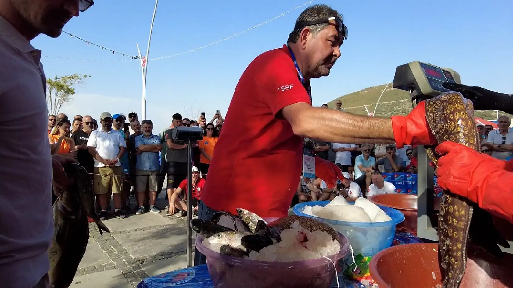 Zıpkınla Balık Avı Şampiyonası heyecanlı geçti
