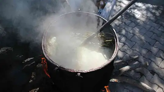 200 yıl sonra Sındırgı'da kök boya bahçesi kuruldu