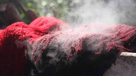 200 yıl sonra Sındırgı'da kök boya bahçesi kuruldu