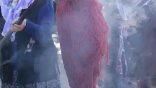 200 yıl sonra Sındırgı'da kök boya bahçesi kuruldu