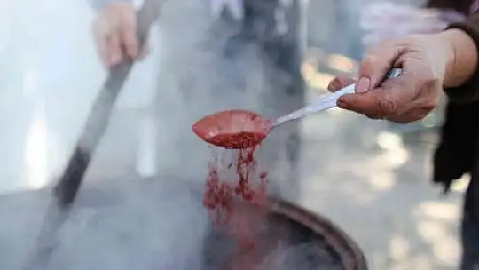 200 yıl sonra Sındırgı'da kök boya bahçesi kuruldu