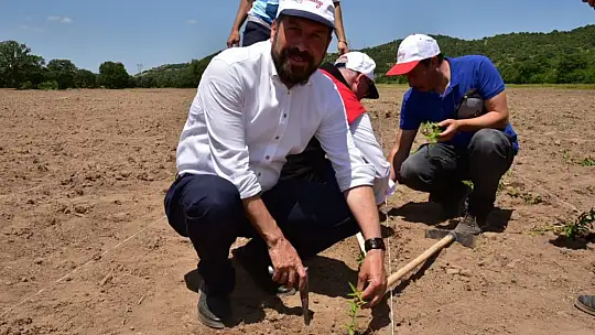200 yıl sonra Sındırgı'da kök boya bahçesi kuruldu