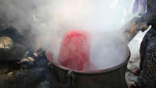 200 yıl sonra Sındırgı'da kök boya bahçesi kuruldu