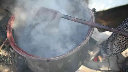 200 yıl sonra Sındırgı'da kök boya bahçesi kuruldu