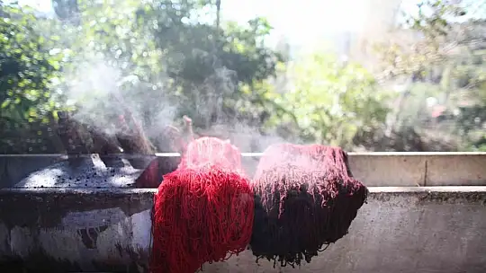 200 yıl sonra Sındırgı'da kök boya bahçesi kuruldu