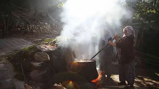 200 yıl sonra Sındırgı'da kök boya bahçesi kuruldu