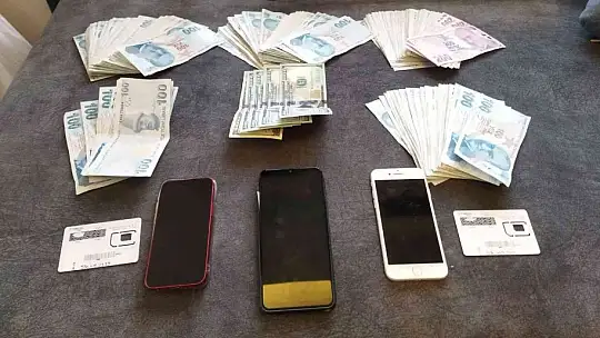 Araç kiralama operasyonu: 24 gözaltı