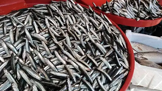 Av yasağı geldi, hamsinin fiyatı yükseldi