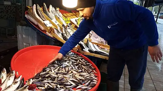 Av yasağı geldi, hamsinin fiyatı yükseldi