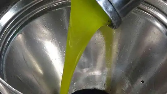 Ayçiçeğine inat yerli üretim zeytinyağı fiyatını koruyor