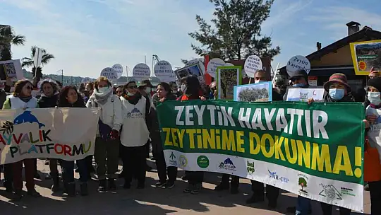 Ayvalık'ta 'zeytin ağacı' eylemi