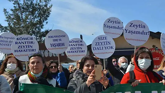 Ayvalık'ta 'zeytin ağacı' eylemi