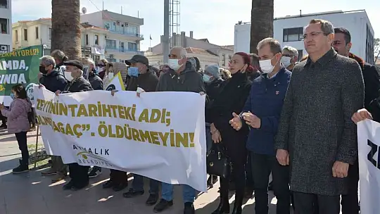 Ayvalık'ta 'zeytin ağacı' eylemi