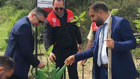 Ayvalık'ta incir demonstrasyon bahçesi