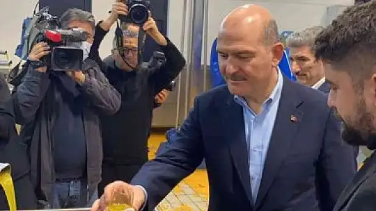 Bakan Soylu zeytinin zeytinyağına ait serüveni izledi