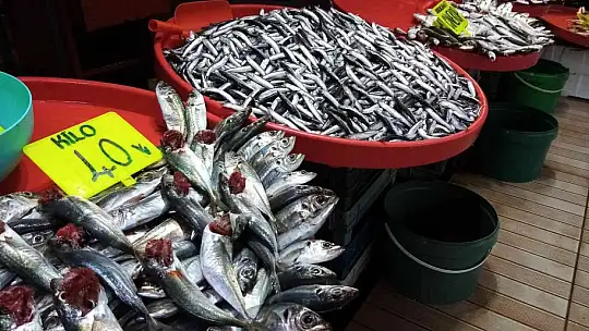 Balık avlama yasağı ile balıkhane amatör balıkçılara kaldı