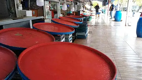 Balık avlama yasağı ile balıkhane amatör balıkçılara kaldı