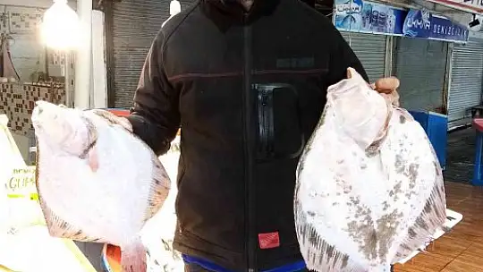 Balık avlama yasağı ile balıkhane amatör balıkçılara kaldı