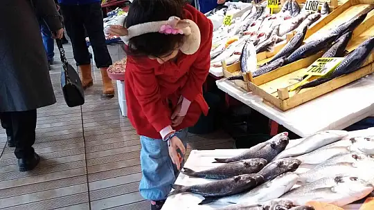 Balık bol olunca vatandaş balık haline koştu