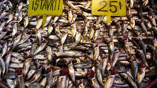 Balık bol olunca vatandaş balık haline koştu