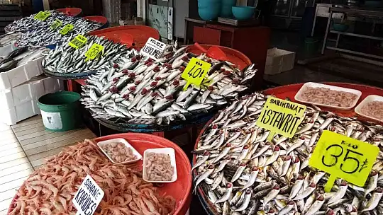 Balık bolluğu yaşanıyor, fiyatlar düşüyor
