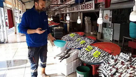 Balık bolluğu yaşanıyor, fiyatlar düşüyor
