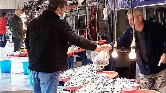 Balık fiyatları güzel havaya rağmen düşmüyor