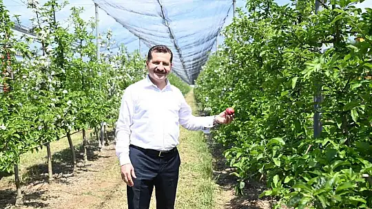 Balıkesir Büyükşehir Belediyesi'nden üreticiye 15 milyon destek