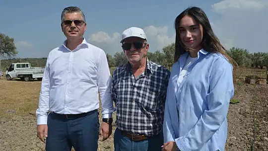 Balıkesir'de 50 bin stevya bitkisi toprakla buluştu