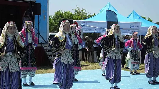 Balıkesir'de Bahar Şenliği'nde kuzu ve oğlaklar yarıştı
