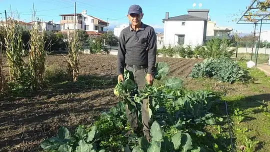 Balıkesir'de emekli eğitimci hobi bahçesinde 'alabaş' turbu yetiştirdi