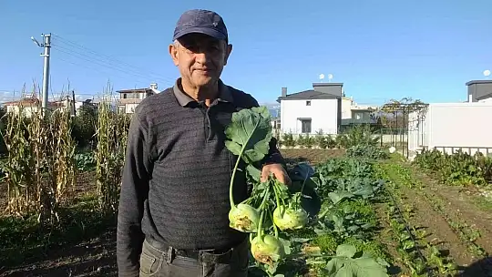 Balıkesir'de emekli eğitimci hobi bahçesinde 'alabaş' turbu yetiştirdi