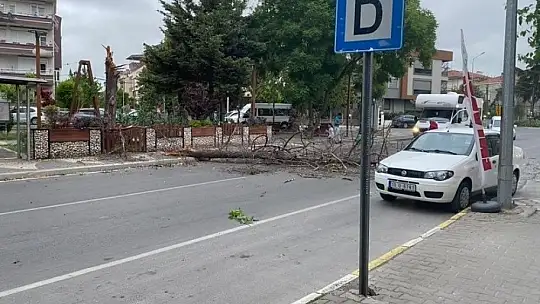 Balıkesir'de sert rüzgar etkili oldu