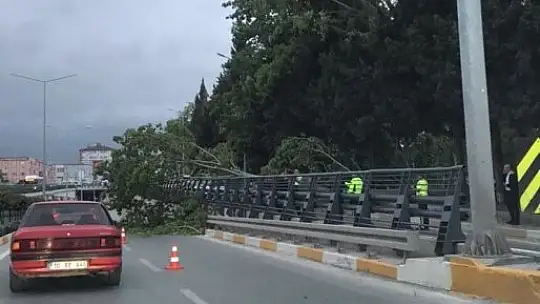 Balıkesir'de sert rüzgar etkili oldu
