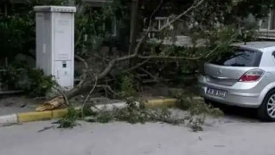 Balıkesir'de sert rüzgar etkili oldu