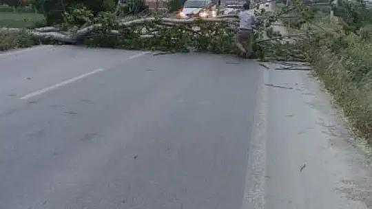 Balıkesir'de sert rüzgar etkili oldu