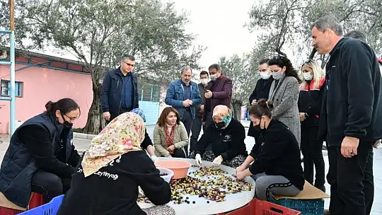 Balıkesir Valisi Şıldak zeytin hasadı yaptı