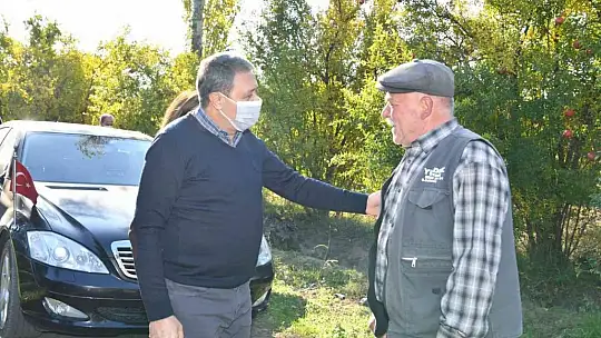 Balıkesir Valisi Şıldak zeytin hasadı yaptı