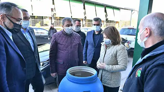 Balıkesir Valisi Şıldak zeytin hasadı yaptı