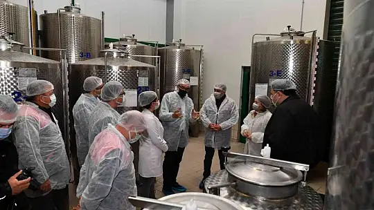 Balıkesir Valisi Şıldak zeytin hasadı yaptı